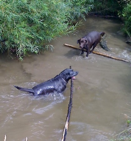 Ingo & Conny bei der Arbeit