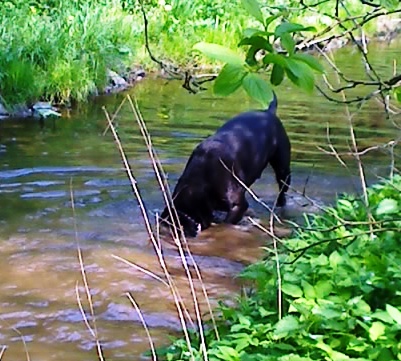 Ingo beim Bach s&auml;ubern.