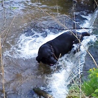 Das ist einfach das Tollste, soviel Wasser!